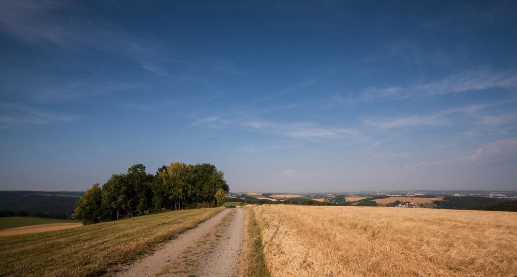 אמצברג Landgasthof Dittersdorfer Hoehe מראה חיצוני תמונה
